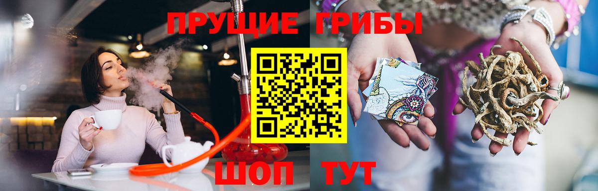 Ликино-Дулёво  Псилоцибиновые грибы Cubensis  Вход с VPN 